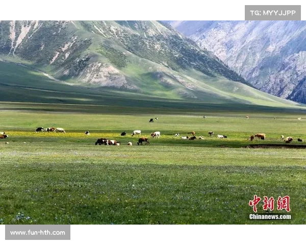 中国新能源汽车拉力锦标赛首度登陆新疆博州 串联十余处文旅地标开启绿色赛车之旅 中国新能源汽车拉力锦标赛首度登陆新疆博州 串联十余处文旅地标开启绿色赛车之旅
